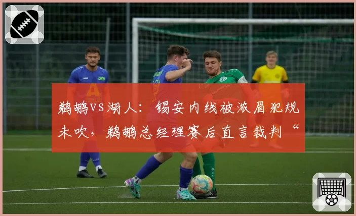 鹈鹕vs湖人：锡安内线被浓眉犯规未吹，鹈鹕总经理赛后直言裁判“瞎了眼”