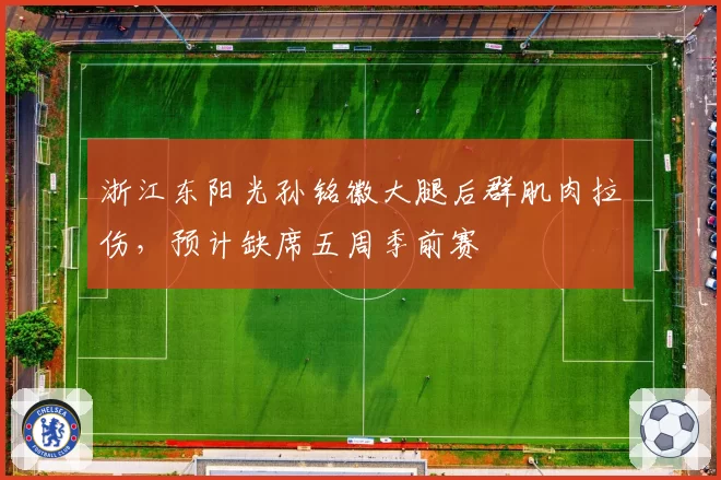 浙江东阳光孙铭徽大腿后群肌肉拉伤，预计缺席五周季前赛