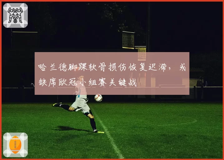 哈兰德脚踝软骨损伤恢复迟滞，或缺席欧冠小组赛关键战