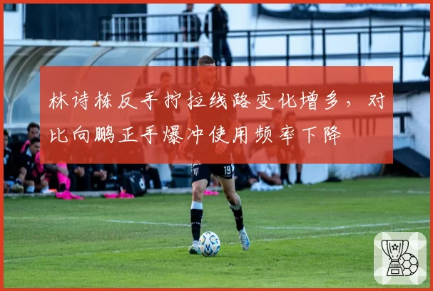 林诗栋反手拧拉线路变化增多，对比向鹏正手爆冲使用频率下降