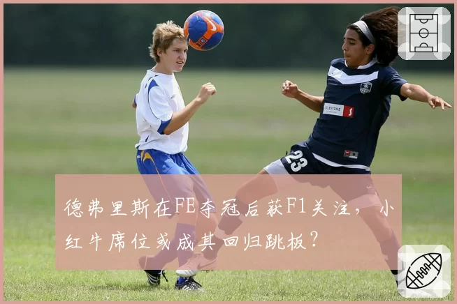 德弗里斯在FE夺冠后获F1关注，小红牛席位或成其回归跳板？