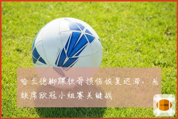 哈兰德脚踝软骨损伤恢复迟滞，或缺席欧冠小组赛关键战