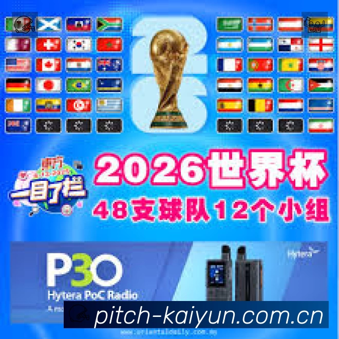 安全使用与支持流程